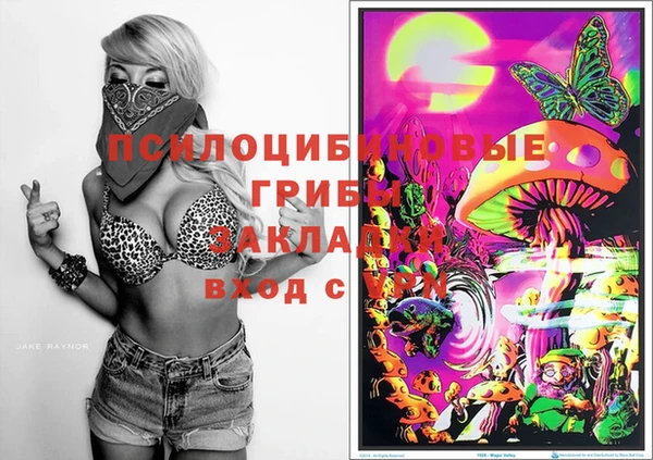 круглые Алексин