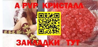 хмурый Бийск