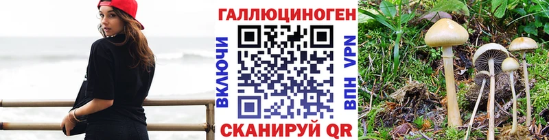 Галлюциногенные грибы мицелий  наркота  blacksprut рабочий сайт  Дивногорск 