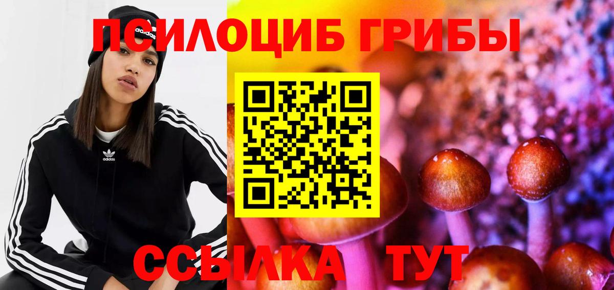 Псилоцибиновые грибы мухоморы Дивногорск