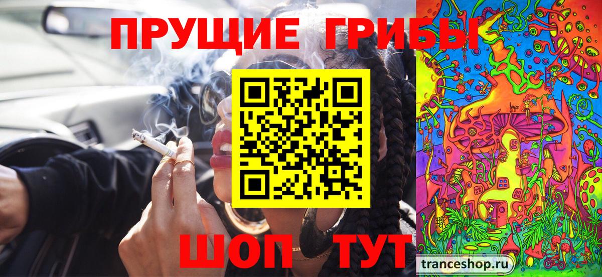 Псилоцибиновые грибы мухоморы  Вход с VPN  Псилоцибиновые грибы Psilocybe  купить закладку  Дивногорск 
